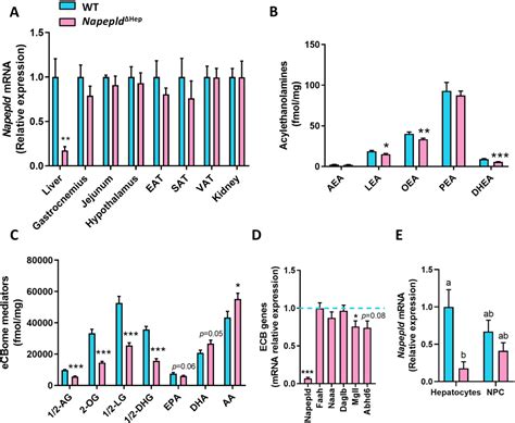 Figure From Hepatic Nape Pld Is A Key Regulator Of Liver Lipid