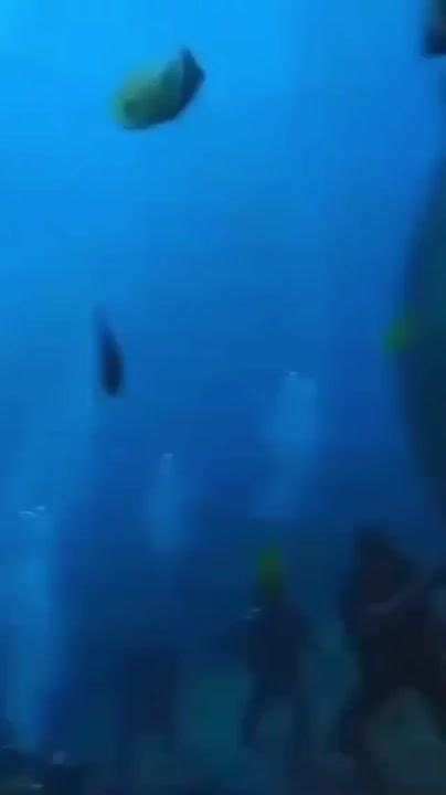 Fuck Around Meme By H Ppyp Lls Memedroid