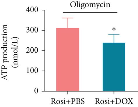 Effects Of The Forced FOXO1 Expression On Cell Proliferation