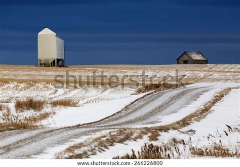 Prairie Landscape Winter Saskatchewan Canada Scenic Stock Photo (Edit ...