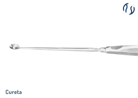 Como É Feita A Curetagem De Feto - Instrumentos De Dilatacao E Curetagem Cureta Schroeder 30cm