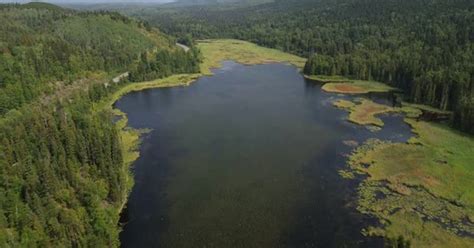 Seeley Lake Provincial Park Aerial Views With An Pull Out Dolly Shot