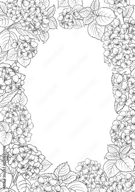 Png Floral Frame Hydrangeas Floral Design Stock Illustration Adobe Stock