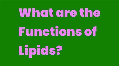 What are the Functions of Lipids? - Write A Topic