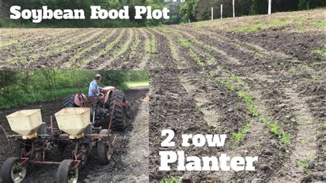 Planting A Soybean Food Plot With 2 Row Planter YouTube