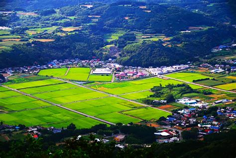 【難読地名】「地元民しか読めない！」と思う静岡県の市町村名ランキングtop17！ 第1位は「田方郡函南町」【2024年最新投票結果】（15