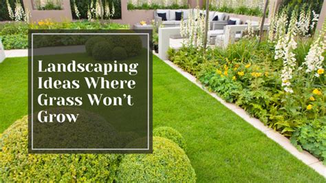 Grass Won T Grow Landscaping Ideas Where Grass Wont Grow