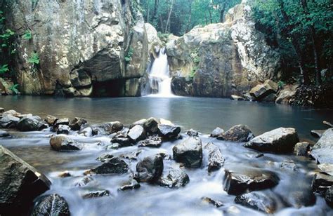 Cádiz Verde Una Panorámica Por Sus Seis Parques Naturales Parques