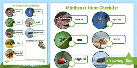 Marvellous Minibeasts Our Newest And Most Popular Early Years Minibeast