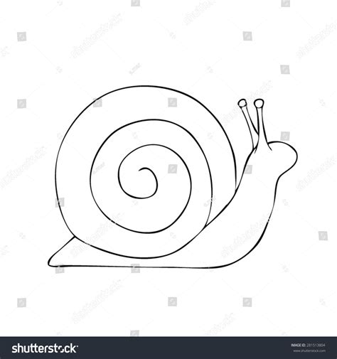 Snail Drawn Outline Vector Stock Vector Shutterstock