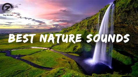 Nature Sound Effects For Video Editing Stay With Zee Youtube