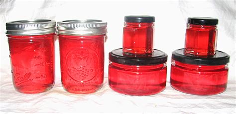 FOOD PRESERVING: Jelly-Making (with pectin)