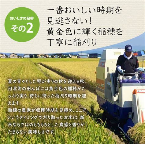 【令和6年産米】2025年5月中旬発送 特別栽培米 つや姫 5kg山形県産 【米comeかほく協同組合】 Jalふるさと納税jalのマイル