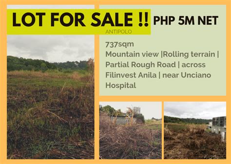 Brgy San Roque Antipolo City Properties May On