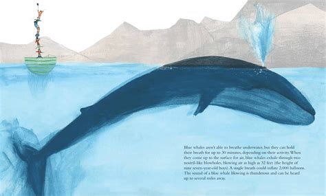 the blue whale by jenni desmond - This Picture Book Life