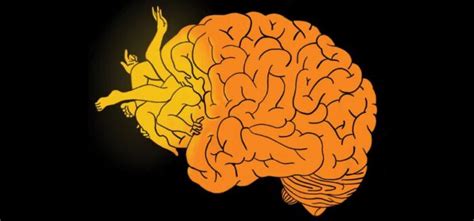 What Does Porn Do To Your Brain True Facts About Pornography