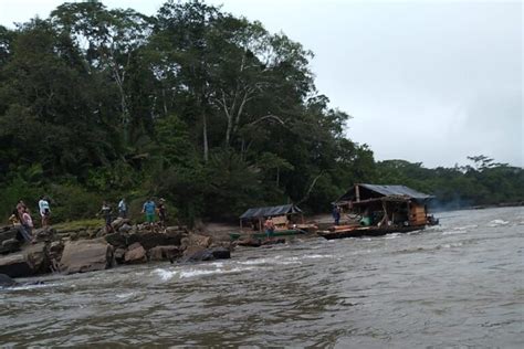 Minería Ilegal Acorrala A Comunidades Indígenas Y Ríos Amazónicos En