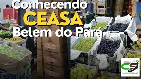 Raz Es Para Escolher A Ceasa S O Paulo Como Seu Mercado Atacadista De