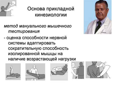 Прикладная кинезиология - презентация онлайн