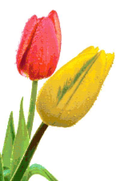 Tulips Red And Yellow Free Cross Stitch Pattern Cross Stitch