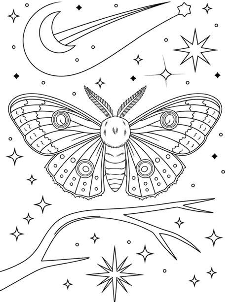 15 Diverse Moth Coloring Pages – My Coloring Spot