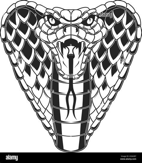 Cobra Logo Vector