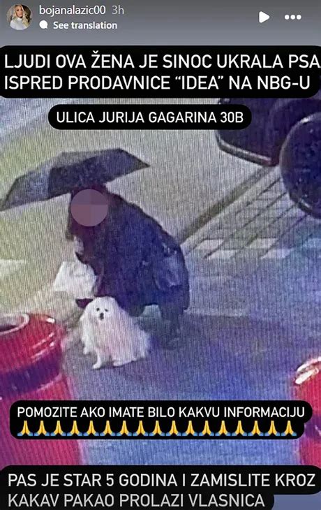 Vlasnica ostavila ljubimca ispred prodavnice i nije ga našla kad je