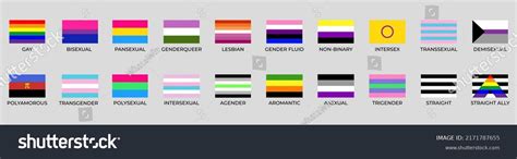 Flags Lgbt Gay Lesbian Bisexual Transgender Stock Vector Royalty Free Shutterstock