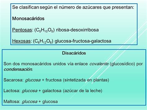 Clase 1 Niveles De Organización Y Biomoléculas InclusiÓn Propiedades Emergentes Ppt Descargar