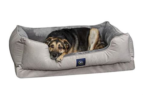 Top 10 Serta Orthopedic Dog Beds of 2022 - Best Reviews Guide