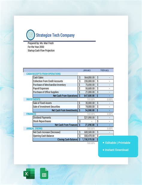 Startup CashFlow Projection Template - Google Sheets, Excel | Template.net