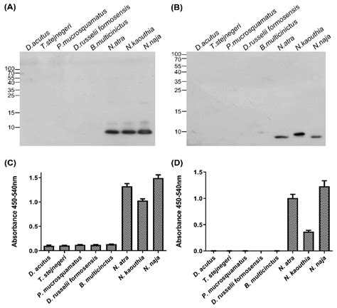 Toxins Free Full Text Development Of A Monoclonal Scfv Against