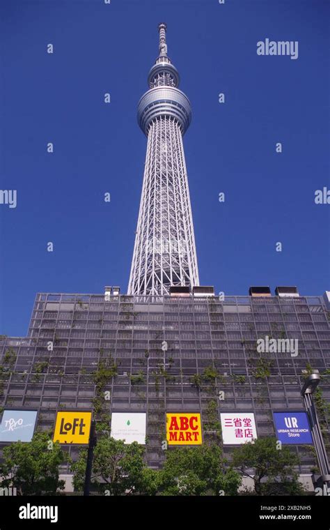 Tokyo Sky Tree Tokyo Japan Stock Photo Alamy