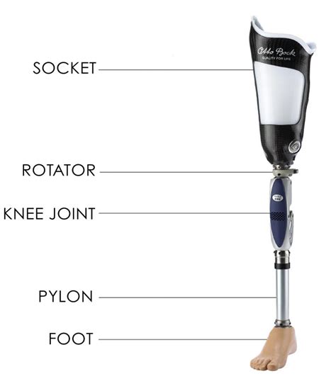 Prosthetics Artificial Limbs Limb Replacement For Amputees