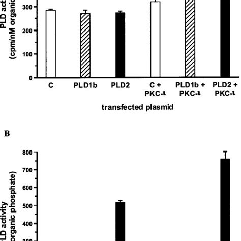 Activation of PLD by transient co transfection with PKC ι in HC11 and