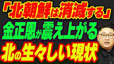 「北朝鮮は消滅する」金正恩氏が震え上がる生々しい現状 Youtube