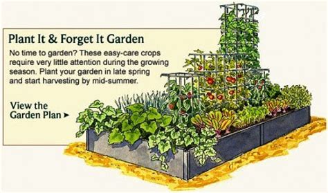 Best garden layout planner - colourisse