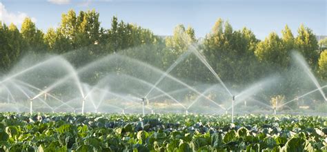 Consejos Para Un Uso Sostenible Del Agua En La Agricultura Unexport