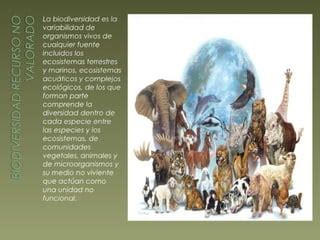 Biodiversidad En Colombia Ppt