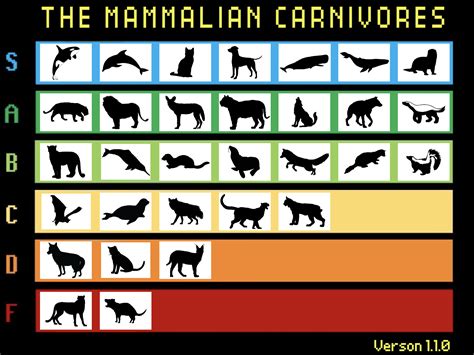 Carnivore Animals List