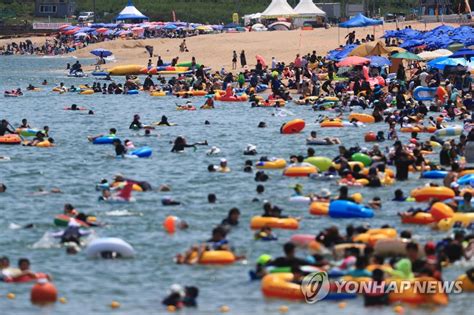 무더위 절정전국 해수욕장·축제장 피서객 인산인해 연합뉴스