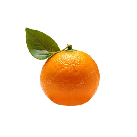 Orange Fruit Isolated On Transparent Background Orange Fruit