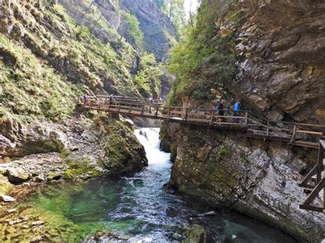 Bledski Kanjon Vintgar Blejski Vintgar Za Obići Kad Idete Na Bled