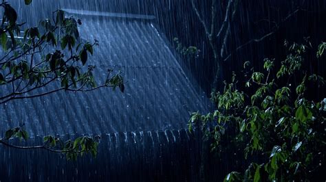 Sleep Instantly With Heavy Rain Terrible Thunder At Night Rain