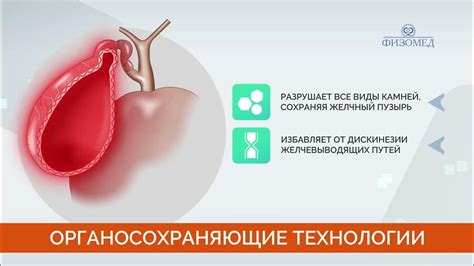 Анимационный эконом ролик "Везикур-Физомед" | СКИБА КРЕАТИВ #shorts # ...