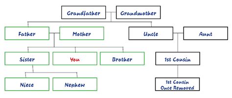 Family Tree Template: Family Tree Template Siblings And Cousins