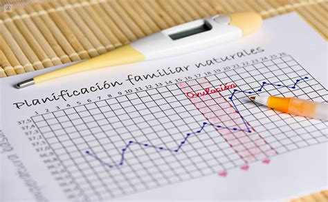 En Qu Consiste La Temperatura Basal Como M Todo Anticonceptivo Top