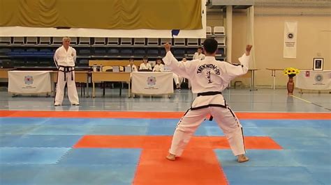 7 3 й Гуп Тэ Ге Туль Toi Gye Tul Pattern Taekwon Do ITF DPRK