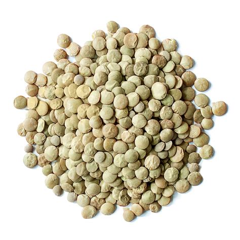 Organic Whole Green Lentils Buy In Bulk From Food To Live