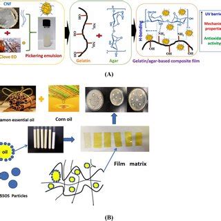 (A) Types of Pickering emulsions based on the contact angle. (B) Types... | Download Scientific ...